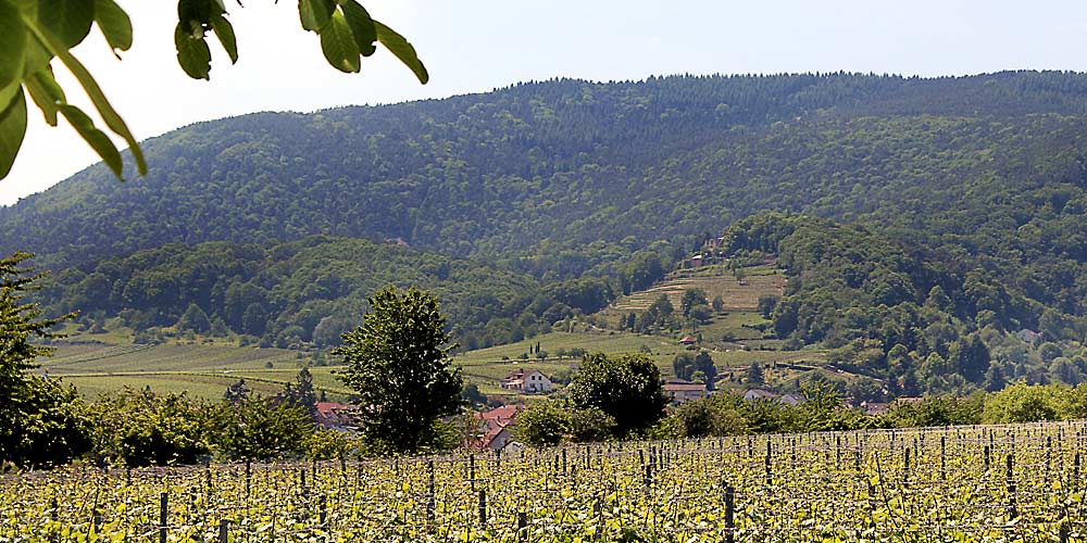 St. Martin versteckt im Grünen