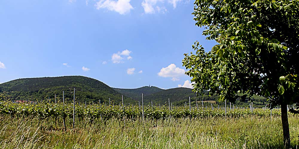 Wandern zwischen Berg und Tal