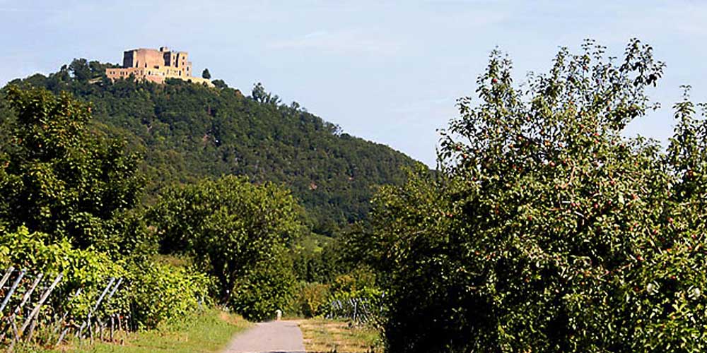 Die Pfalz - Berge, Burgen, Rebenmeer